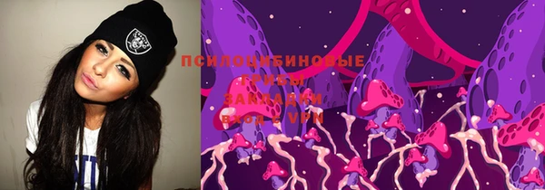ECSTASY Новозыбков