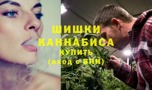 ECSTASY Новозыбков