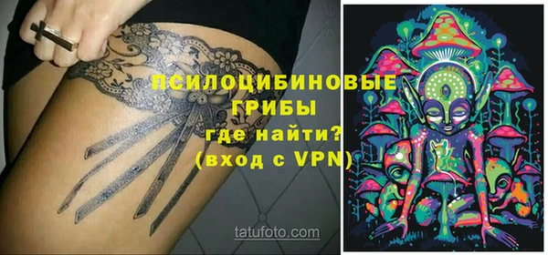 ECSTASY Новозыбков