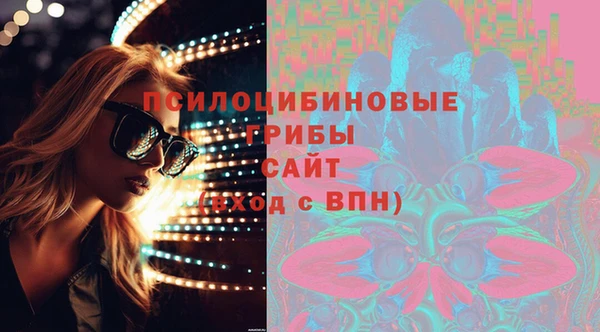 ECSTASY Новозыбков